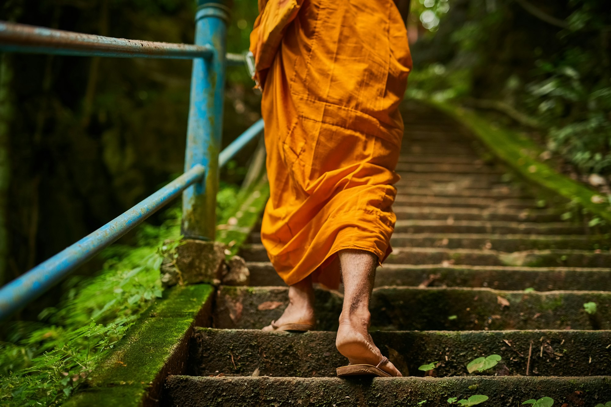 Rearview shot of a buddhist monk climbing a flight of stone steps